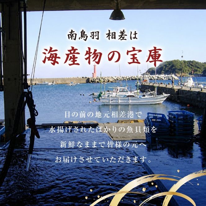 20-76自家製ひもの　詰め合わせ