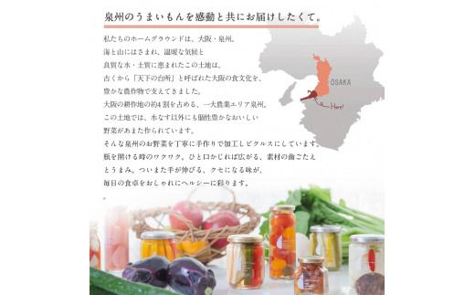 099H3777 【圧倒的企業努力】いずみピクルス 定番人気のピクルス 3種セット NSW ＜スピード発送＞