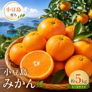 【 小豆島 】小豆島 みかん 約5kg　 果物類 柑橘類 フルーツ ミカン 蜜柑 