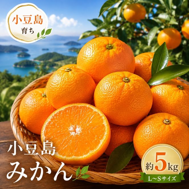 【 小豆島 】小豆島 みかん 約5kg　 果物類 柑橘類 フルーツ ミカン 蜜柑 