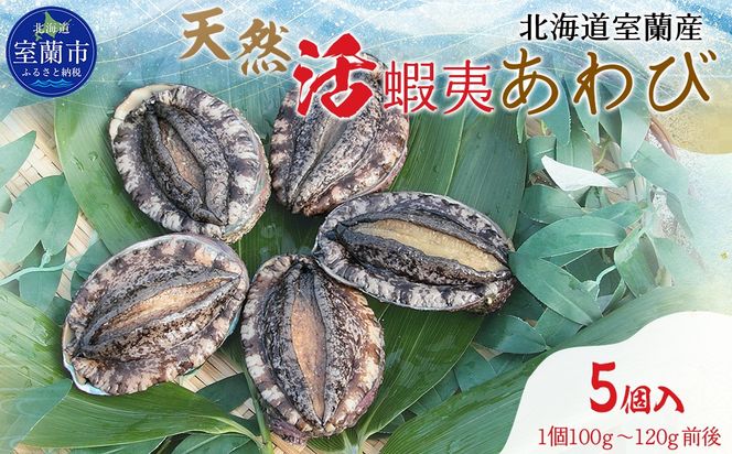 ykCszkCY VRڈ΂ 5i1100g`120gOji2025N11{͂j MROH006