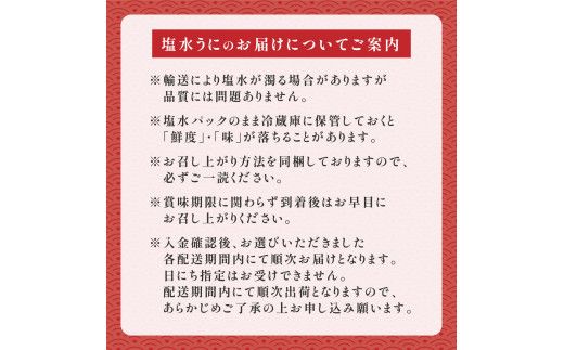 訳あり 規格外品 無添加 エゾバフンウニ 塩水パック 600g　|うに 高級 ウニ 雲丹 バフンウニ 生ウニ 塩水パック 人気 ふるさと納税 北海道 登別市