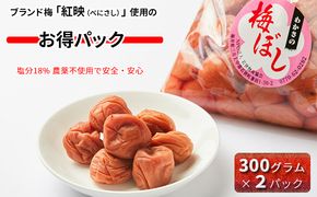 梅干し しそ入り 600g (300g×2袋) 若狭のすっぱい梅干し 紅映梅 うめ ウメ 梅 酸っぱい梅干し 昔ながらの梅干し 昔ながら うめぼし ご飯のお供 ごはんのお供 おにぎりの具 福井 福井県 若狭町