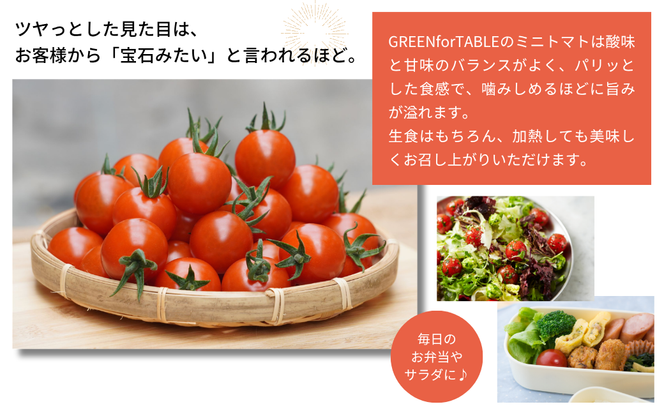 【 先行予約 】 美粒トマト ミニトマト サンチェリー 1kg 2026年7月発送 トマト 新鮮 採れたて フレッシュ 野菜 農家直送 1キロ 人気 おすすめ ギフト 贈答 プレゼント 福島県 田村市 田村 GREEN for TABLE