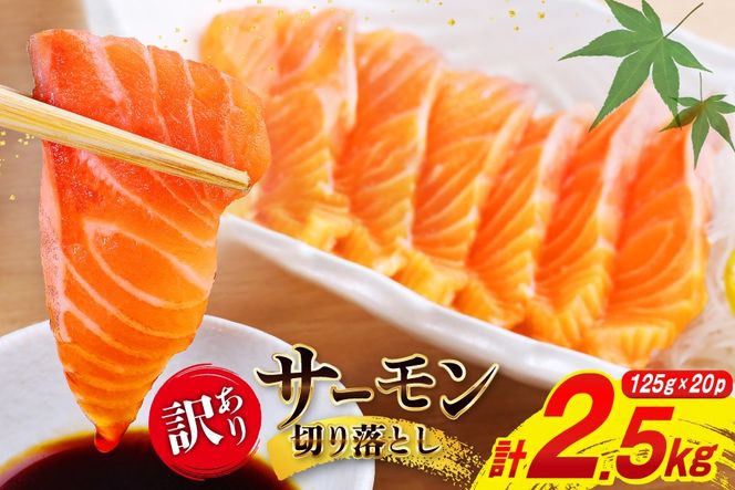 y{錧Csz󂠂 Y T[ ؂藎Ƃ ݗp v2.5kg 125g×20p [{X {錧 Cs 20565698]     hg hg hg  H  `  CN CN 