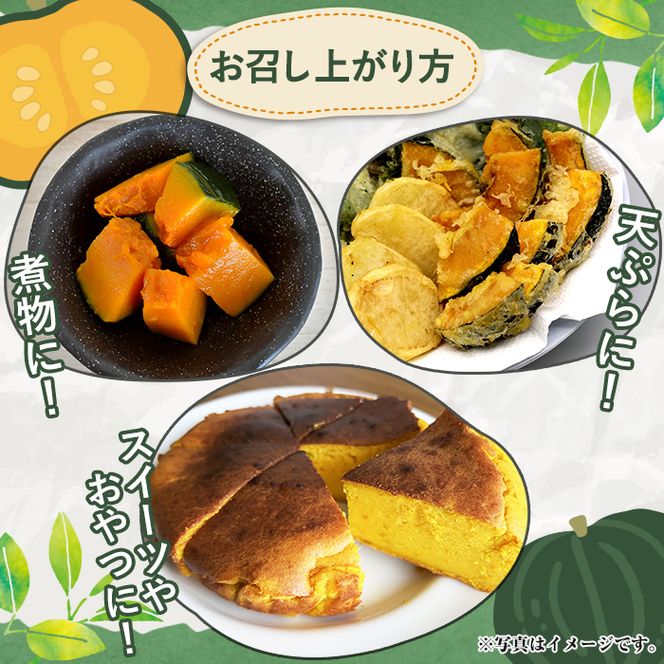 ＜先行予約受付中！2026年5月上旬以降順次発送予定＞鹿児島県産 えびすかぼちゃ(約10kg) 国産 野菜 かぼちゃ カボチャ 南瓜 煮物 天ぷら バーベキュー BBQ スイーツ お菓子【松永青果】akn053-27