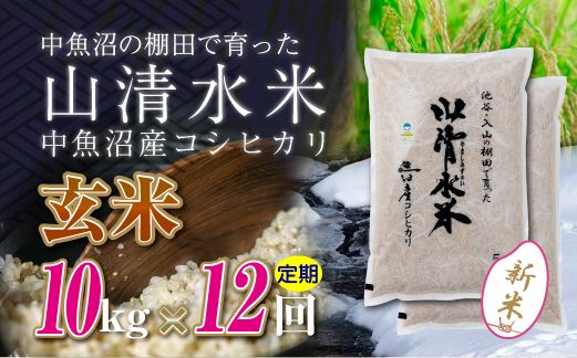 【令和8年産 新米】 【定期便／全12回】玄米10kg　新潟県魚沼産コシヒカリ「山清水米」十日町市 米