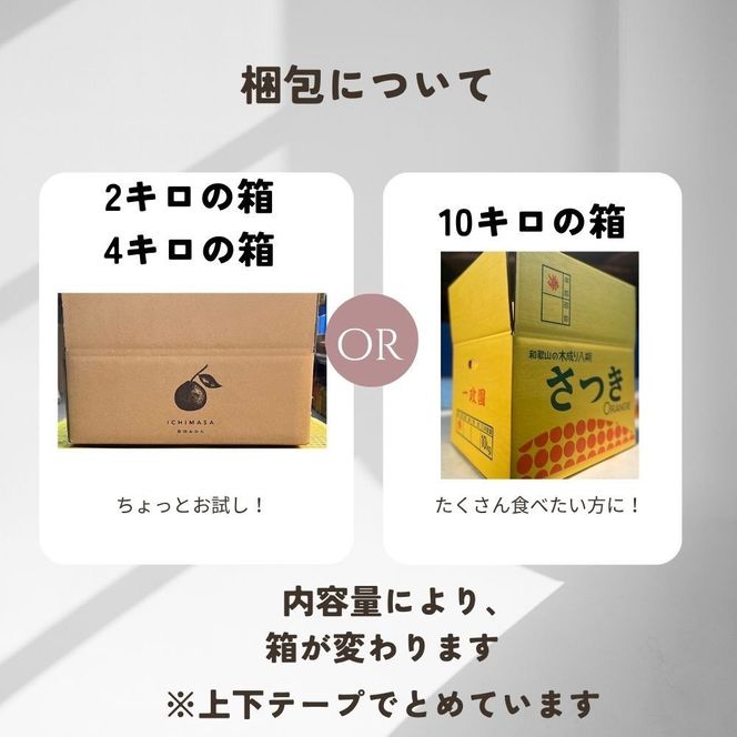【ふるさと納税】【先行予約】 八朔 10kg 家庭用 サイズ混合 柑橘 フルーツ はっさく 産地直送 お取り寄せ 送料無料 	FA11