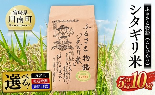 ※選べる内容量・発送時期・発送回数※【令和8年産】宮崎県産こしひかり「シタギリ米」5kg /10kg【 米 お米 白米 精米 国産 宮崎県産 こしひかり おにぎり 定期便 】ⅡⅧ [B04201 B04201t3 B04201t6 B04202 B04202t3 B04202t6]
