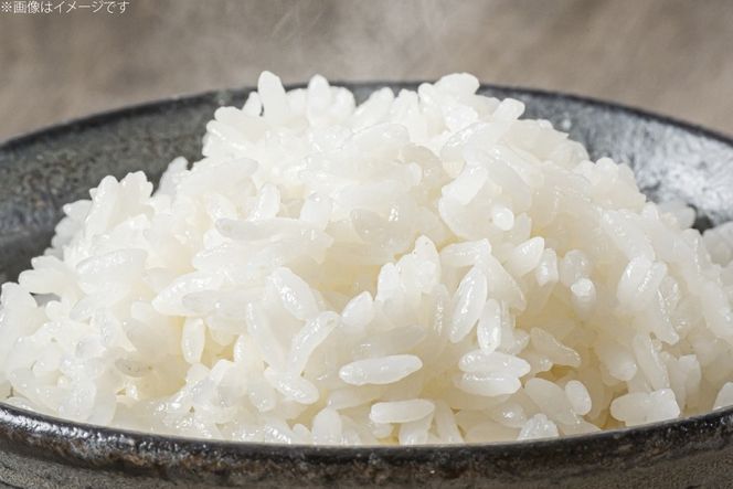 米 白米 5kg 彩のきずな 6回 定期便 総計 30kg [株式会社風の丘ファーム 埼玉県 小川町 444] お米 こめ コメ 白米 精米 ご飯 飯 お弁当 農薬不使用 埼玉 埼玉県産