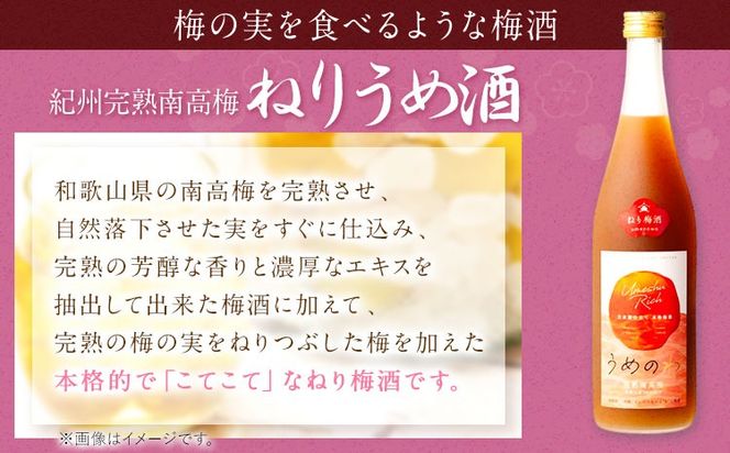 紀州完熟南高梅 ねりうめ酒 完熟梅酒 飲み比べセット 720ml×2本 厳選館 《90日以内に出荷予定(土日祝除く)》 和歌山県 日高町 酒 さけ お酒 飲み比べ 梅酒 1440ml---wsh_gsk174_90d_25_14000_2p---