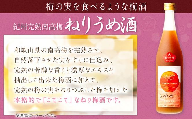 紀州完熟南高梅 ねりうめ酒 完熟梅酒 飲み比べセット 720ml×2本 厳選館 《90日以内に出荷予定(土日祝除く)》 和歌山県 日高町 酒 さけ お酒 飲み比べ 梅酒 1440ml---wsh_genknhu_90d_22_13000_2p---