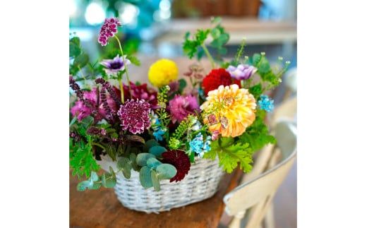 【CF-R7hbk】t164tmf　《6ヵ月定期便》おすすめ生花アレンジメントL 定期便 定期コース 全6回 フラワーアレンジメント そのまま飾れる 生花 花束 花 お花 おすすめ 可愛い キレイ おしゃれ 季節のお花 供花 お供え
