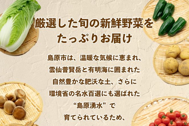 AJ435 【3回定期便】【1～3月限定出荷】こむたの旬の野菜 (13～15品目) おまかせLセット [ 野菜 やさい 旬 定期便 野菜セット 種類 人気 オススメ 新鮮 詰め合わせ 詰合せ こむた 小無田 青果 長崎県 島原市 ]