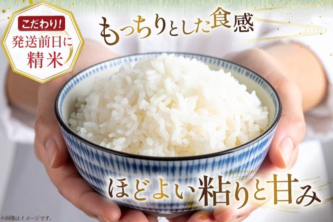 米 令和7年産 ゆめぴりか 5kg 砂川産 特A [松田産業 北海道 砂川市 12260864] お米 こめ コメ ユメピリカ 精米 おこめ