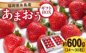 【先行予約】糸島産 あまおう ギフト 箱 ( 24-30粒 ) 【2024年12月上旬以降順次発送】 《糸島》【南国フルーツ株式会社】