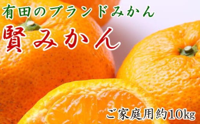 有田のブランド「賢みかん」約10kg サイズ混合 ご家庭用［2026年11月中旬頃より順次発送］ BZ131