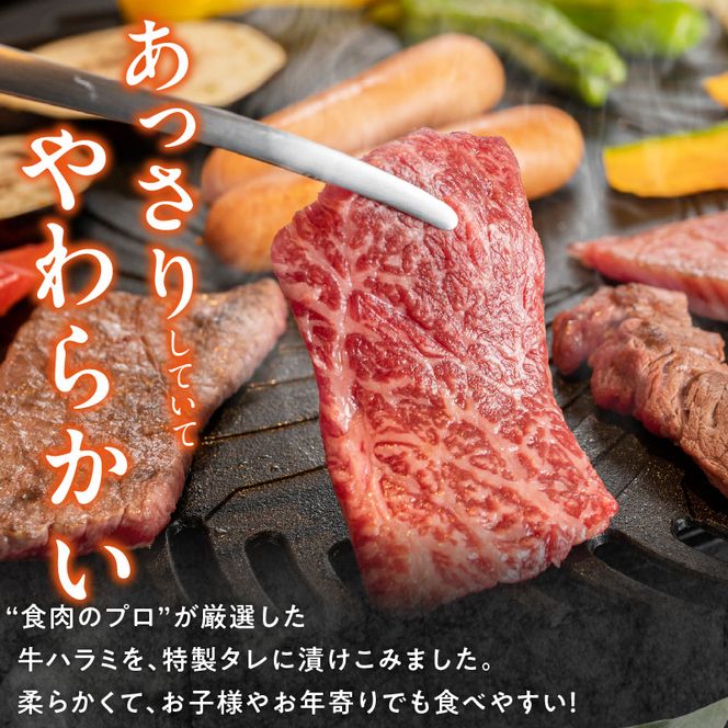 【食肉総合卸 丸正】牛ハラミ味付け 3.0kg［153M15］