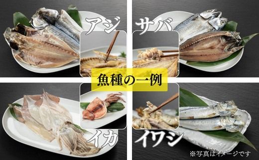 おまかせ訳あり干物セット（3～5種） 約2.0kg 富山 魚津 浜浦水産 自家用 家庭用【魚貝類・干物セット・干物・訳あり干物】