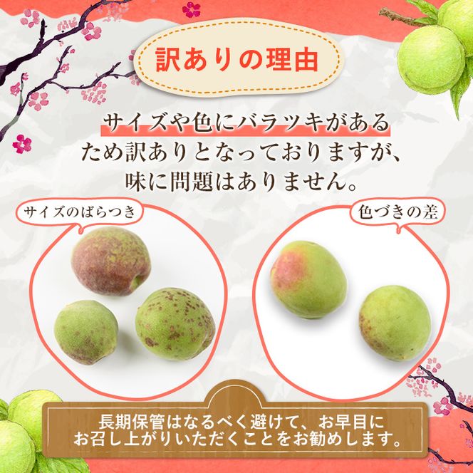 ＜先行予約受付中！2026年5月下旬以降順次発送予定＞訳あり！鹿児島県産 南高梅(約4kg) 国産 果物 梅 うめ ウメ ナンコウウメ 和食 梅干し 梅酒 梅シロップ 訳アリ サイズ混合 期間限定【松永青果】akn053-09