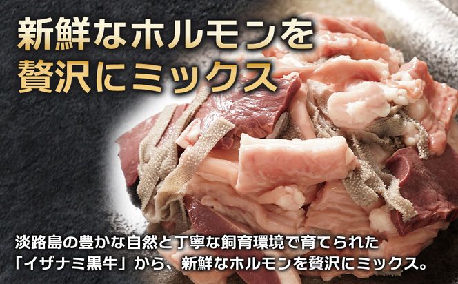 淡路島産プレミアム牛 イザナミ黒牛ホルモンミックス 1.5kg（500g×3パック）