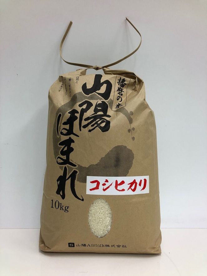 yɌO؎szyցzɌdYuRzق܂@RVqJv܂́uRzق܂@qmqJv10kg u6񂨓͂ijv