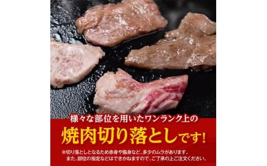 【数量限定】宮崎県産黒毛和牛　焼肉用切り落とし500g 【 牛肉 国産 宮崎県産 宮崎牛 BBQ 】[D11303]