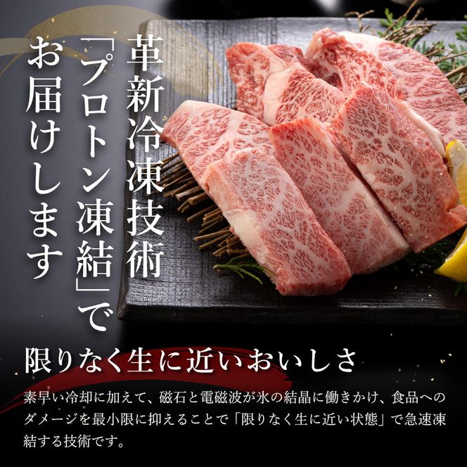 【げんさん】近江牛A5ランク焼肉・すき焼セット【800g】【DG11W】