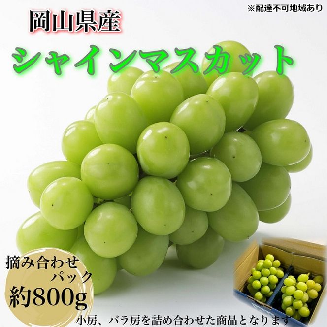 ぶどう 2026年 先行予約 【平均糖度20度】農家こだわりの シャインマスカット ご家庭用パック 合計約800g ブドウ 葡萄 岡山県産 国産 フルーツ 果物 ギフト 【 Nini farm 農家 直送 】