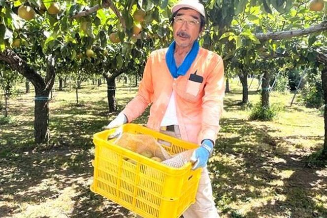 【先行受付】男鹿梨 「伊藤梨園」の豊水 梨 約5kg 2L～3L 14～16玉 秋田県 男鹿市 旬の果物 2026年9月下旬以降出荷|23_itn-010501