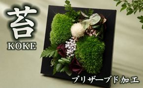 フレームモス(インテリア グリーン 観葉 植物苔 こけ コケ)【002431】