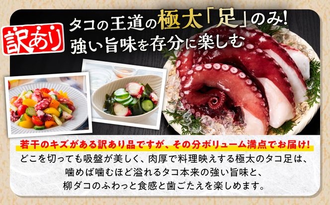 北海道旨味たこ【1.0kg以上×足のみ】