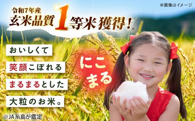 【全12回定期便】 にこまる 玄米品質1等米 白米 10kg 糸島市産 糸島市 / 糸島の恵み コメ こめ ご飯[AGR013]
