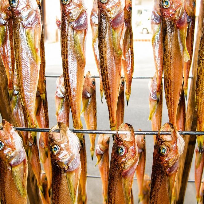 ハタハタ（特々大）干物 一夜干し 450g ×2箱【配送不可：離島】 魚貝類 海鮮 干物 おつまみ 肴 ハタハタ 酒  myz02 myz11 myz17