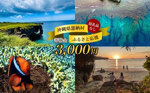 【返礼品なし】沖縄県恩納村ふるさと応援寄附金 3000円