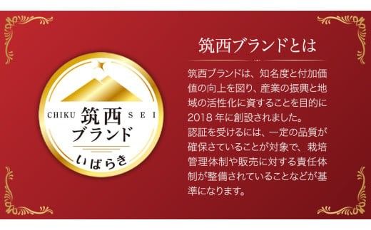 【 訳あり 】 こだますいか 「 愛娘 」 2玉 2026年産 先行予約 筑西ブランド こだまスイカ 小玉スイカ すいか スイカ フルーツ 果物 [AF084ci]