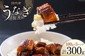 うなぎ 佃煮 国産 静岡 100g ×3パック 計300g [静岡鰻販売 静岡県 吉田町 22424152] 鰻 ウナギ 真空パック つまみ 酒の肴 惣菜 おかず ご飯のお供 冷凍