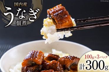 うなぎ 佃煮 国産 静岡 100g ×3パック 計300g [静岡鰻販売 静岡県 吉田町 22424152] 鰻 ウナギ 真空パック つまみ 酒の肴 惣菜 おかず ご飯のお供 冷凍