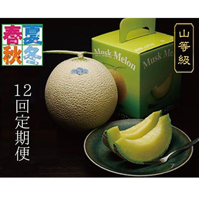 【12ヶ月定期便】クラウンメロン（山等級）1玉入 