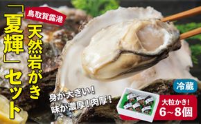 鳥取賀露港 天然岩がき「夏輝」セット【かねまさ・浜下商店】 312011_AZ002