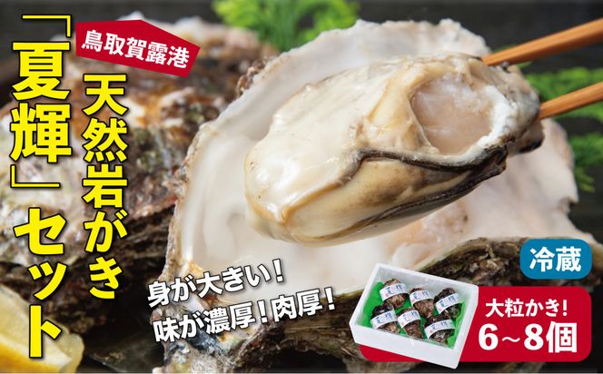 鳥取賀露港 天然岩がき「夏輝」セット【かねまさ・浜下商店】 312011_AZ002