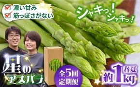 【5回定期便】【星のアスパラ】春＆夏 の グリーン アスパラガス 約1kg / アスパラ 春野菜 野菜 / 南島原市 / ほしのYA[SEY017]