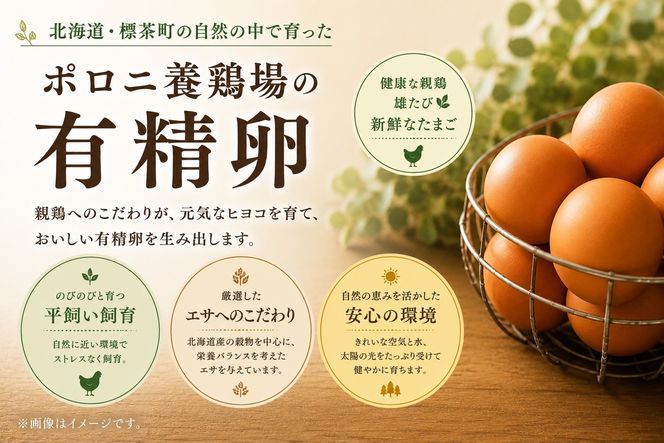【ポロニ養鶏場】有精卵 計60個（10個×6パック）【 たまご ポロニ養鶏場 デザート ケーキ お菓子 標茶町 北海道 】 016641_AH005