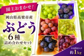園主おまかせ！ぶどう6種詰め合わせセット約1kg（小房6房入り）化粧箱 岡山県高梁市産