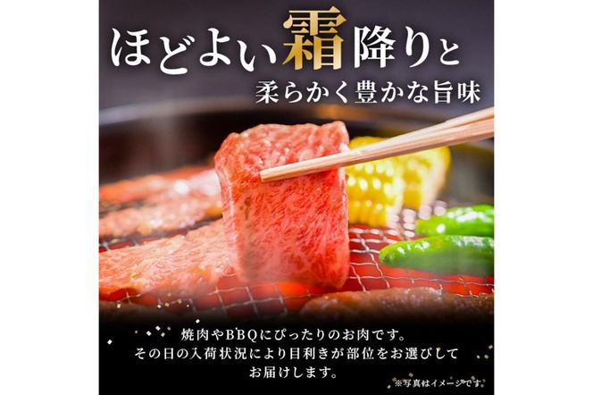 飛騨牛 ロースまたは肩ロース 600g (焼肉・BBQ用)【0091-007】