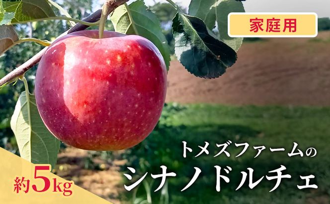 シナノドルチェ（家庭用） 約5kg（15～20玉入り）トメズファーム　りんご　長野　信州　小諸　果物　フルーツ