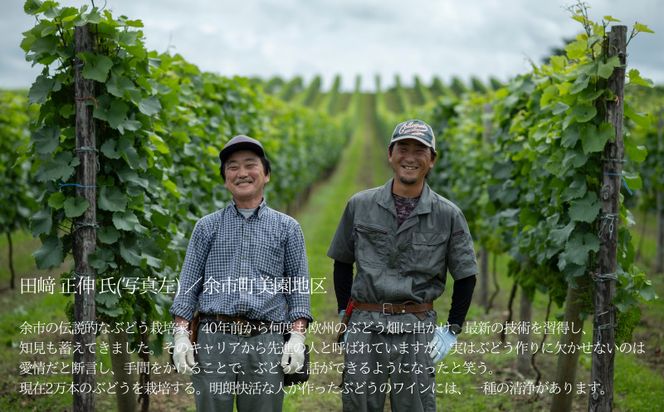【余市】葡萄作りの匠「匠の白」セット【北海道ワイン】_Y034-0135