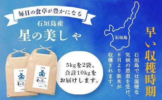 石垣島産 星の美(かい)しゃ 10kg みやぎ米屋 【 日本一早い新米の産地 米 お米 産地直送 旬 ほしじるし 沖縄県 石垣市 】MK-4