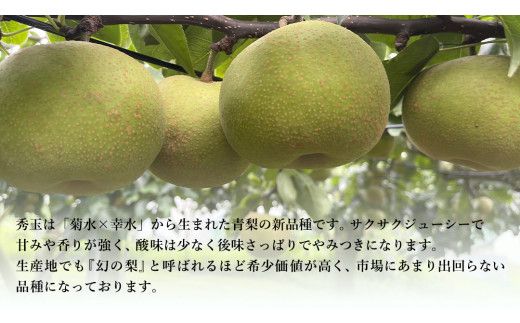 【 先行予約 】茨城県産 『幻の梨』 秀玉 約5kg 11玉～14玉( 茨城県共通返礼品 : 常陸太田市 )【 2025年 8月下旬頃より発送 】 フルーツ 果物 国産 日本産 梨 ナシ なし 和梨 期間限定 数量限定 [EN006us]