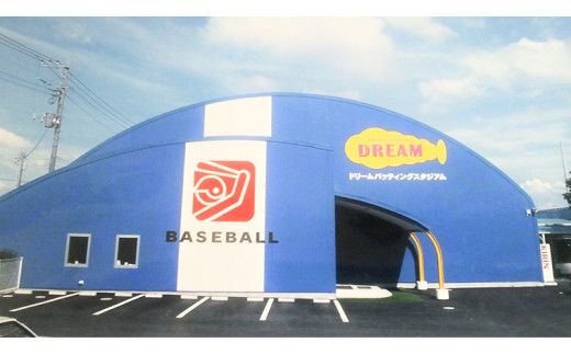 バッティング30回券・ピッチング7回券[CA003us]